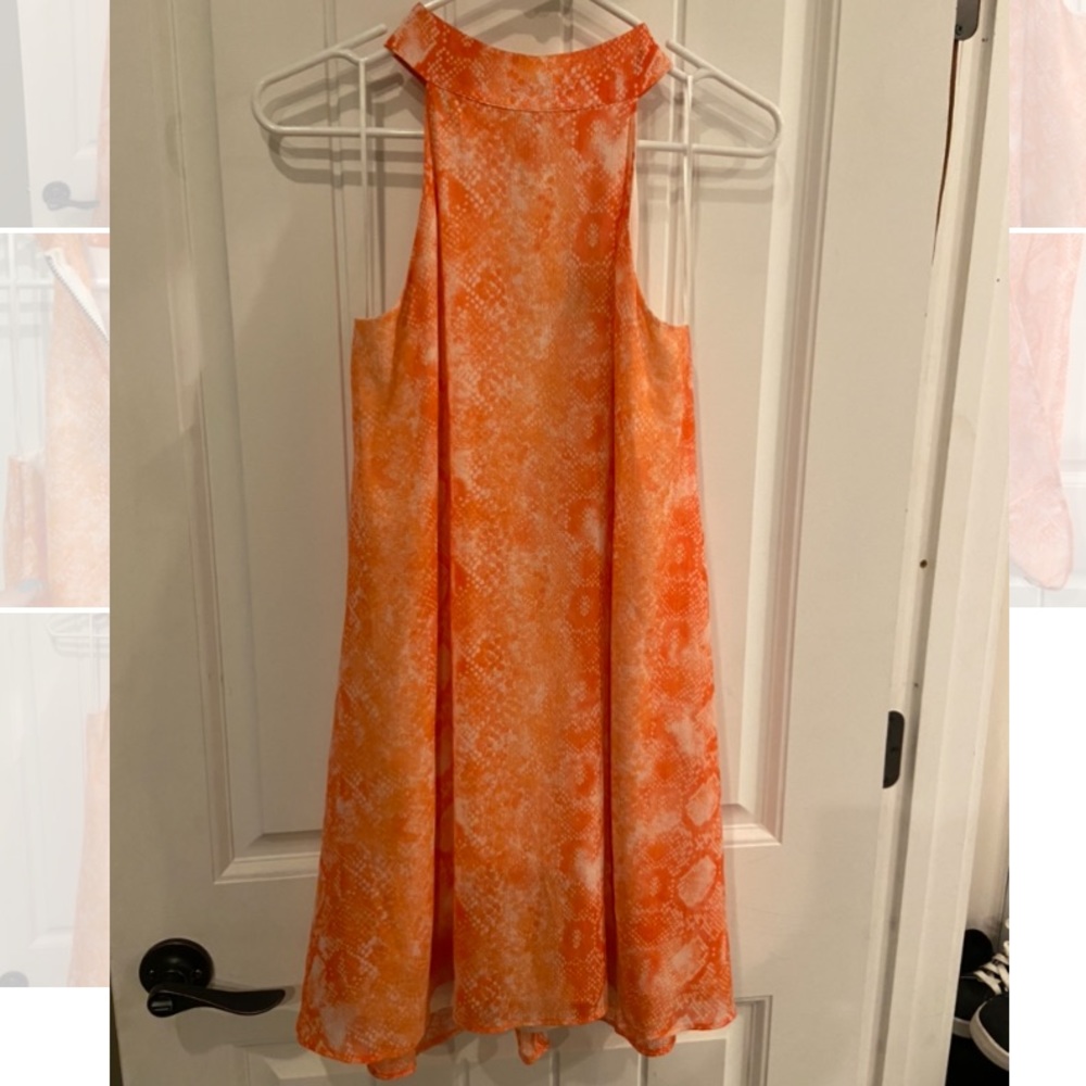 Bold Snake Print Dress